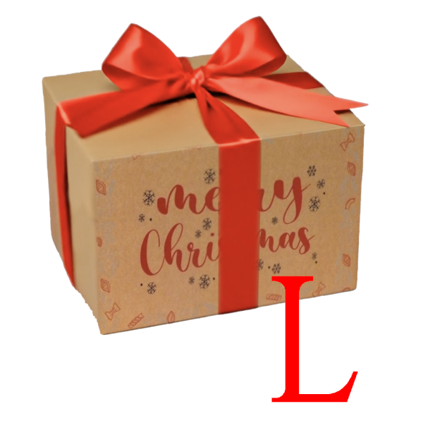 box natale L.png