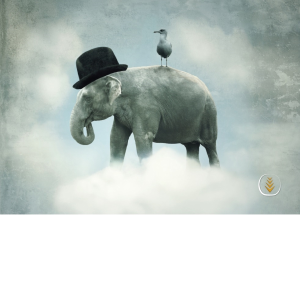 Puzzle Photo Fantasy Elephant Flying 600x600.jpg